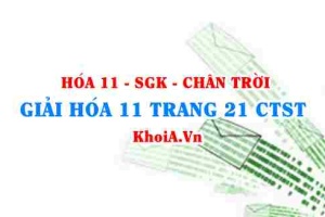 Giải Hóa 11 trang 21 Chân trời Sáng tạo